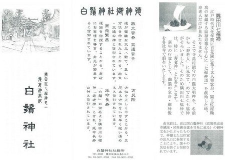 20130107_shirohige-01.jpg