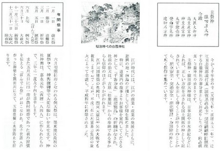 20130107_shirohige-02.jpg